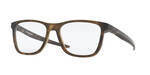 SATIN BROWN TORTOISE