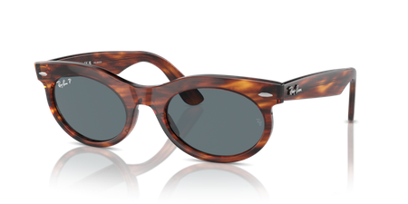 Ray-Ban RB 2242 954/3R