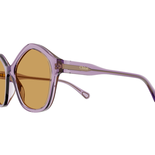 Chloé Sonnenbrille CC0010S 002