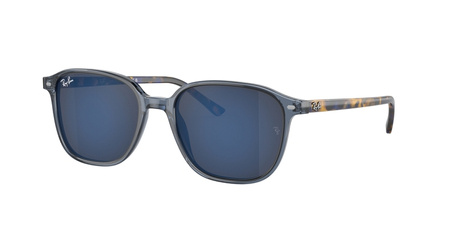 Ray Ban RB 2193 LEONARD 6638O4 Sonnenbrille