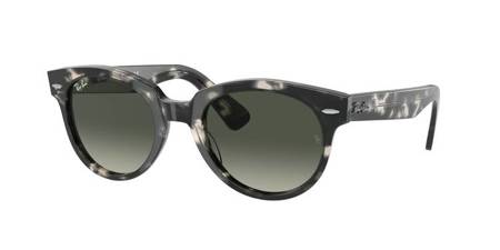 Ray Ban RB 2199 ORION Sonnenbrille 133371