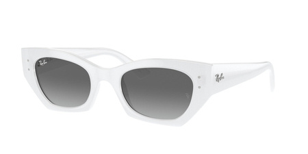 Ray-Ban RB 4430 675911