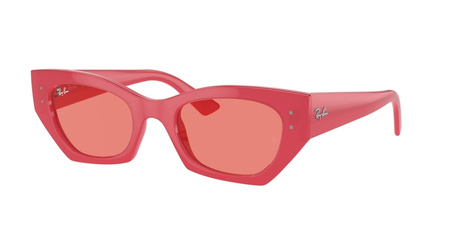 Ray-Ban RB 4430 676084