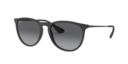 Ray Ban Rb 4171 Erika 622/t3 Sonnenbrille