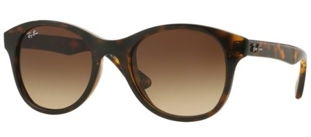 Ray Ban Rb 4203 710/13 Sonnenbrille