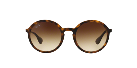 Ray Ban Rb 4222 865/13 Sonnenbrille