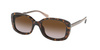 Coach Sonnenbrille HC 8278 L1114 512013