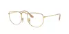 Ray Ban RX 3958V ELON 3086 Sonnenbrille