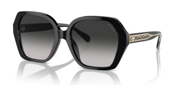 Okulary Przeciwsłoneczne Coach HC 8404U 50023C