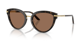 Dolce & Gabbana DG 4492 321713