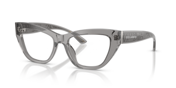 Dolce & Gabbana DG 3412 3160