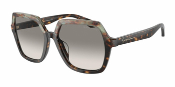 Okulary Przeciwsłoneczne Giorgio Armani AR 8193U 587932