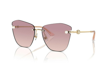 Okulary Przeciwsłoneczne Jimmy Choo JC 4004HB 300668