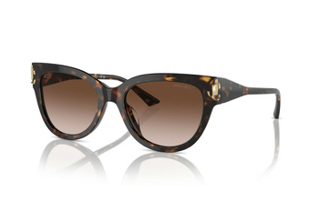 Okulary Przeciwsłoneczne Jimmy Choo JC 5018U 500213