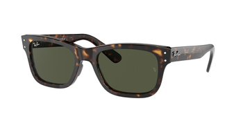 Okulary Przeciwsłoneczne Ray-Ban RB 2283 MR BURBANK 902/31