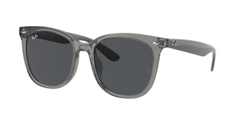 Okulary Przeciwsłoneczne Ray-Ban RB 4379D 659987