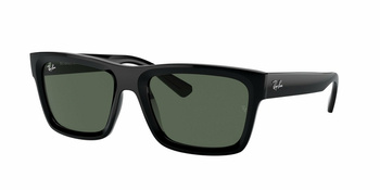 Okulary Przeciwsłoneczne Ray-Ban RB 4396 Warren 667771