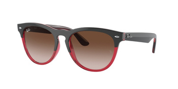 Okulary Przeciwsłoneczne Ray-Ban RB 4471 IRIS 663113