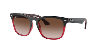 Okulary Przeciwsłoneczne Ray-Ban RB 4487 STEVE 663113