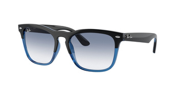 Okulary Przeciwsłoneczne Ray-Ban RB 4487 STEVE 663219