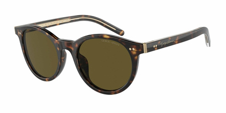 Okulary Przeciwsłoneczne Giorgio Armani AR 8199U 587973