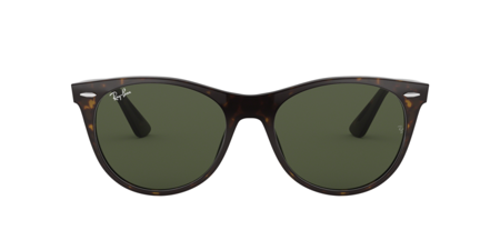 Okulary Przeciwsłoneczne Ray-Ban RB 2185 WAYFARER II 902/31