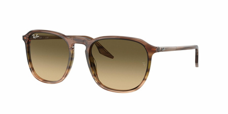 Okulary Przeciwsłoneczne Ray-Ban RB 2203 13920A