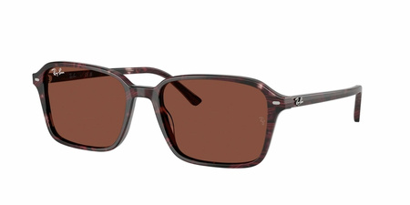 Okulary Przeciwsłoneczne Ray-Ban RB 2231 1416C5