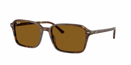 Okulary Przeciwsłoneczne Ray-Ban RB 2231 141833