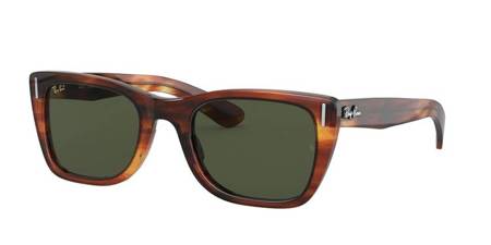 Okulary Przeciwsłoneczne Ray-Ban RB 2248 954/31