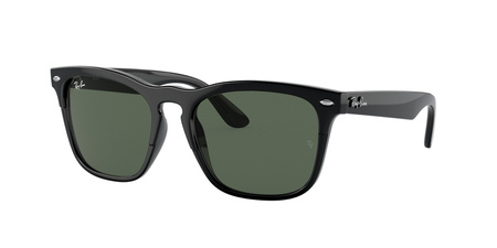 Okulary Przeciwsłoneczne Ray-Ban RB 4487 STEVE 662971