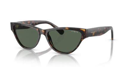 Okulary Przeciwsłoneczne Vogue VO 5513S W65671